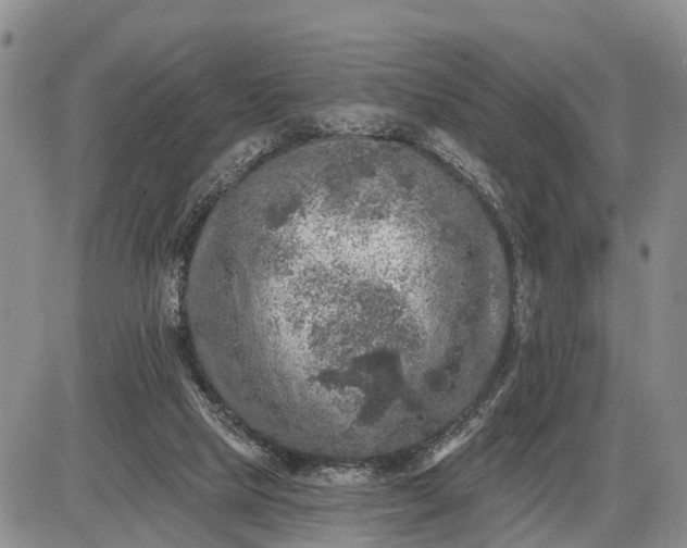 X0000085260065200703231726