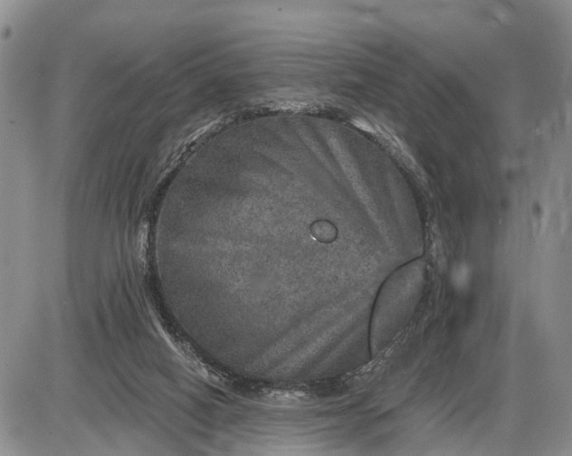 X0000085260066200703231726