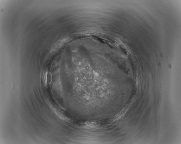 X0000085260070200703231726