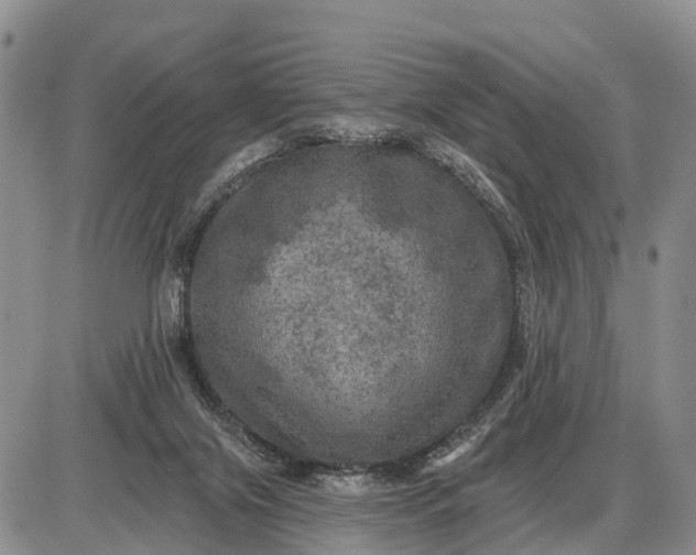 X0000085260071200703231726