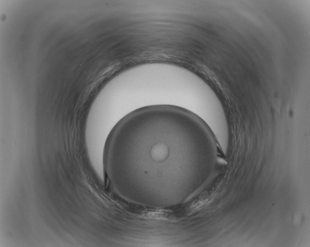 X0000085260072200703231726