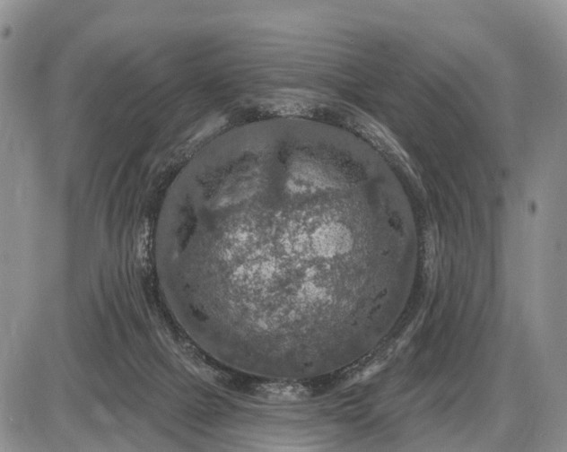 X0000085260073200703231726