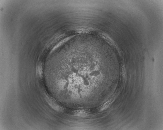 X0000085260074200703231726