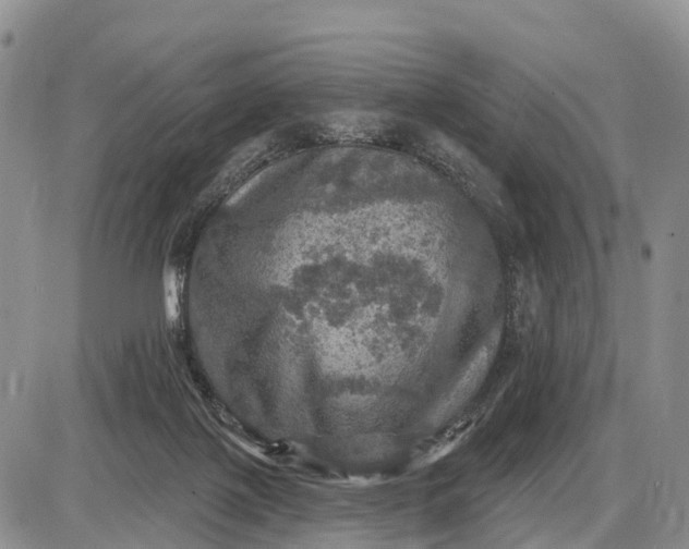 X0000085260075200703231726