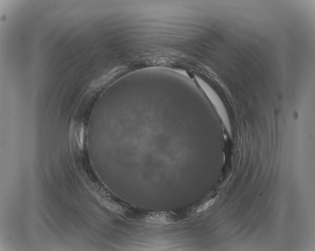 X0000085260076200703231726