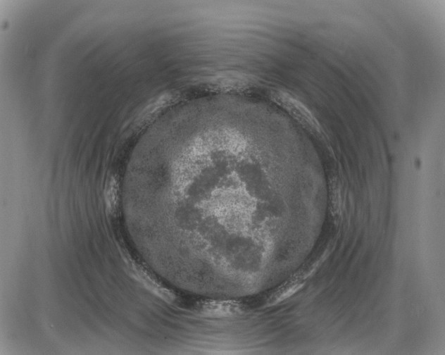 X0000085260077200703231726