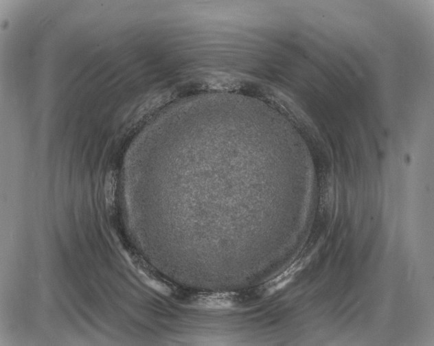 X0000085260078200703231726