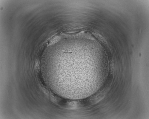 X0000085260079200703231726