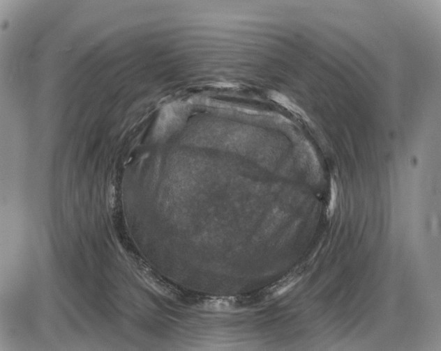 X0000085260080200703231726