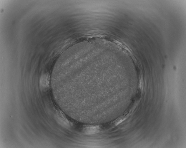 X0000085260081200703231726