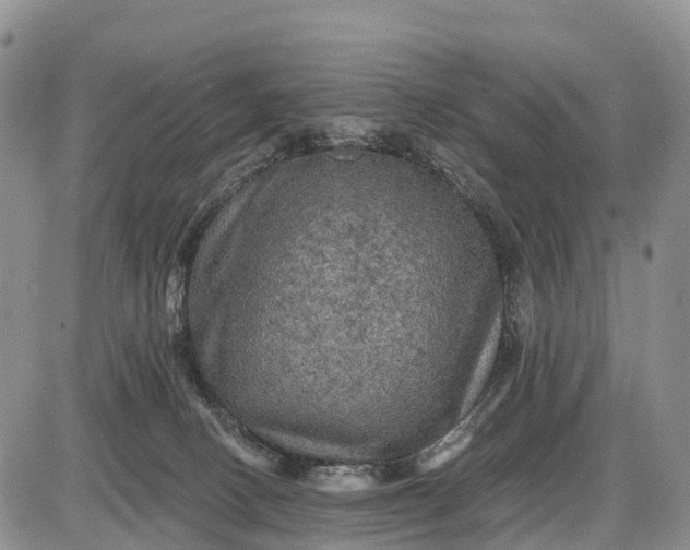 X0000085260082200703231726