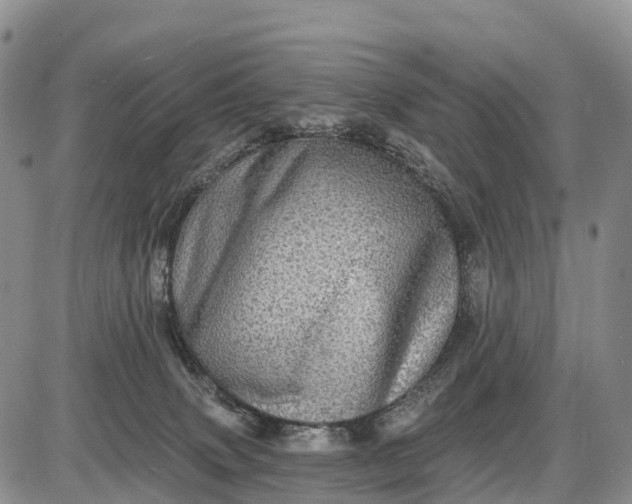 X0000085260083200703231726