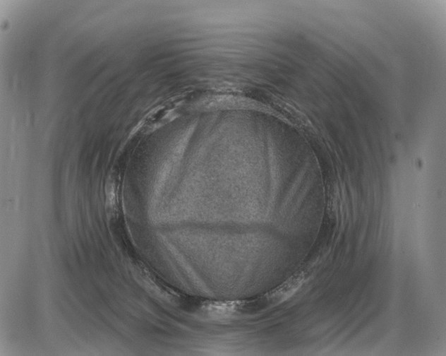 X0000085260084200703231726