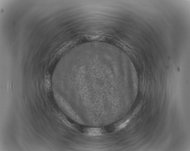 X0000085260085200703231726