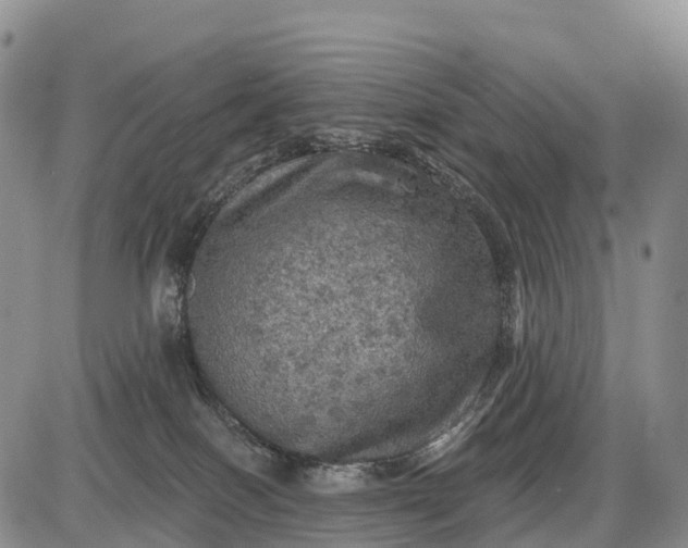 X0000085260086200703231726