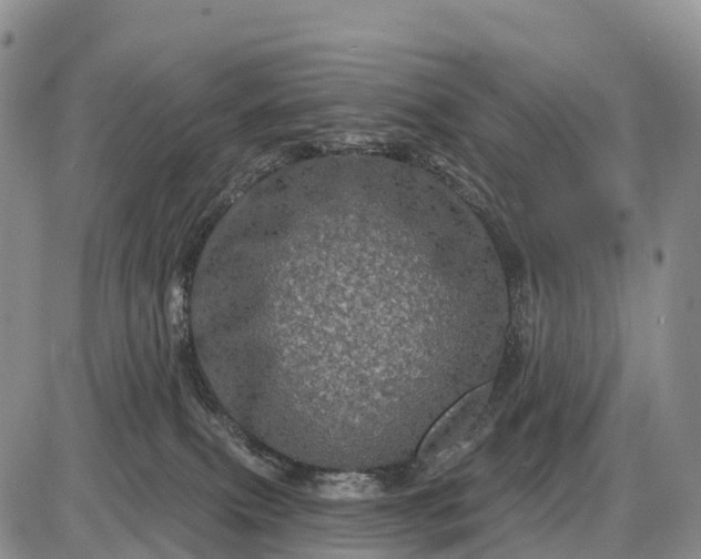 X0000085260087200703231726