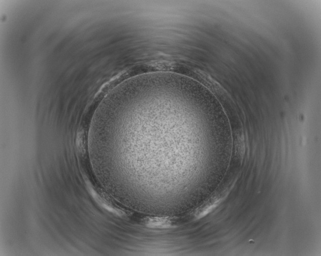 X0000085260088200703231726