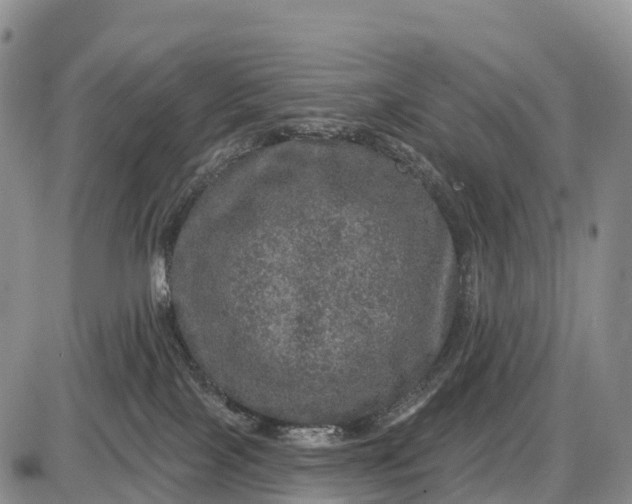 X0000085260089200703231726