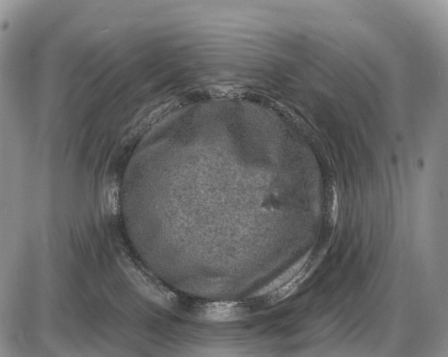 X0000085260090200703231726