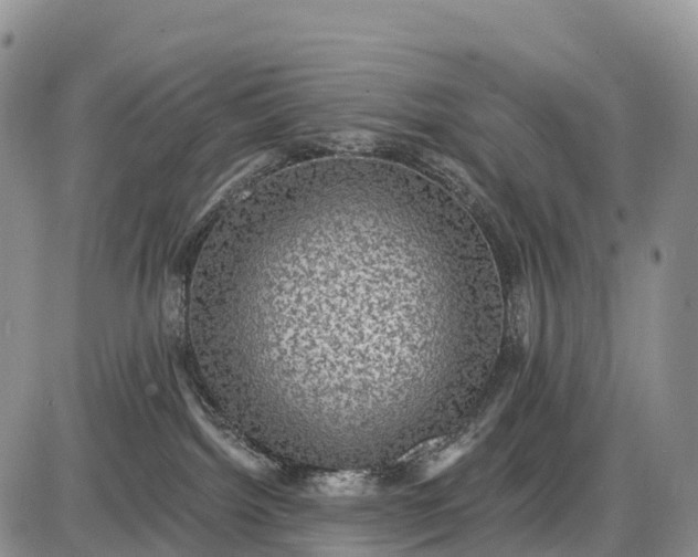 X0000085260092200703231726