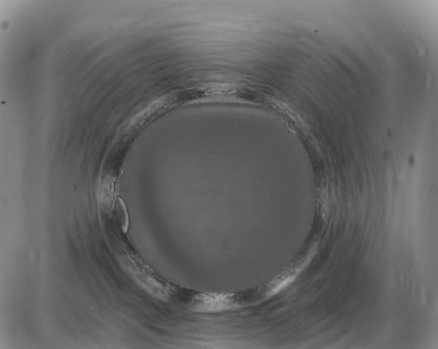 X0000085260093200703231726