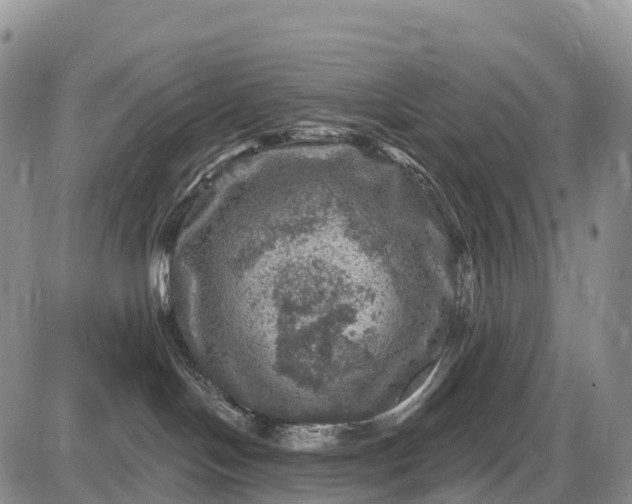 X0000085260094200703231726