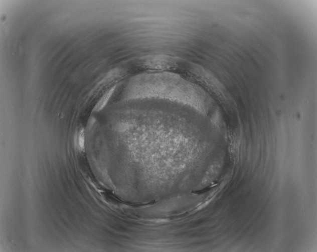 X0000085260095200703231726