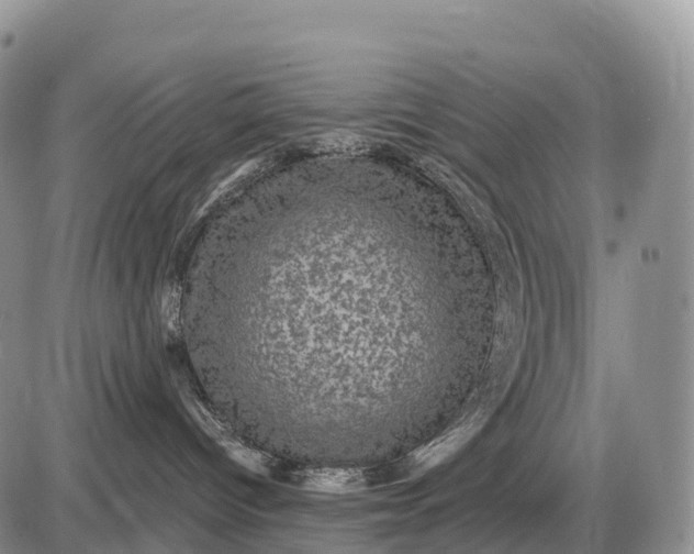 X0000085260096200703231726