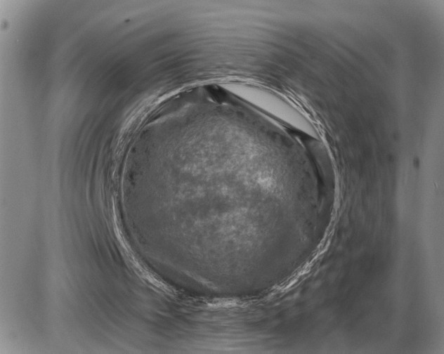 X0000085260097200703231726