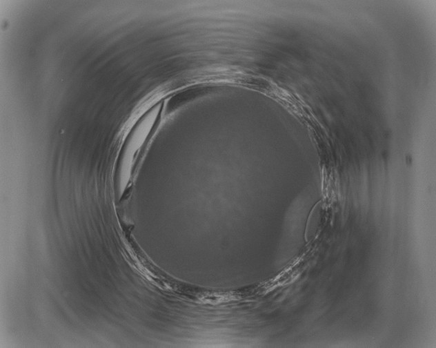 X0000085260099200703231725