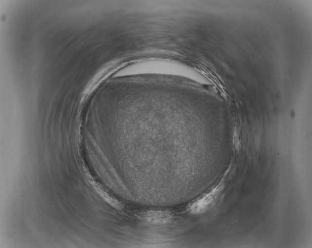 X0000085260101200703231725