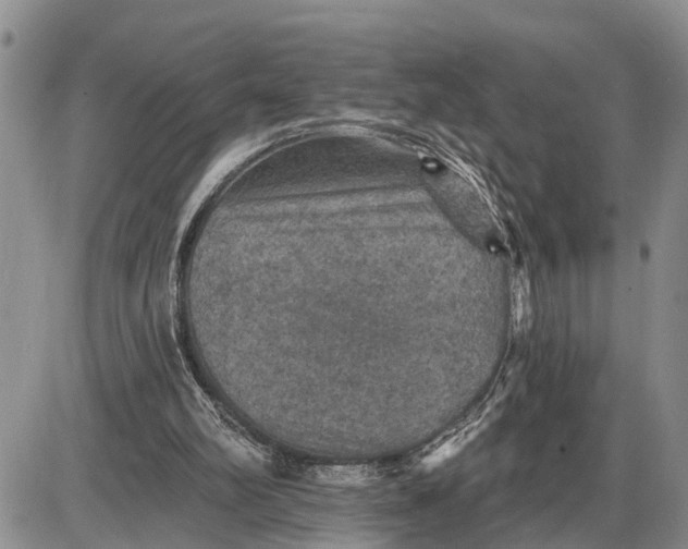 X0000085260102200703231725