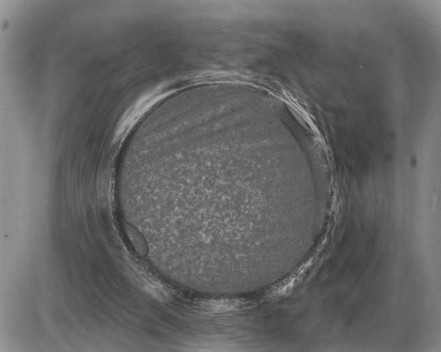 X0000085260103200703231725