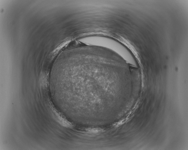 X0000085260105200703231725