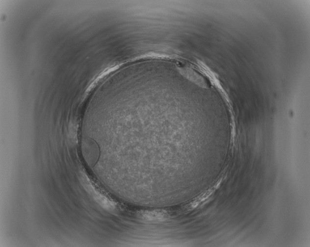 X0000085260106200703231725