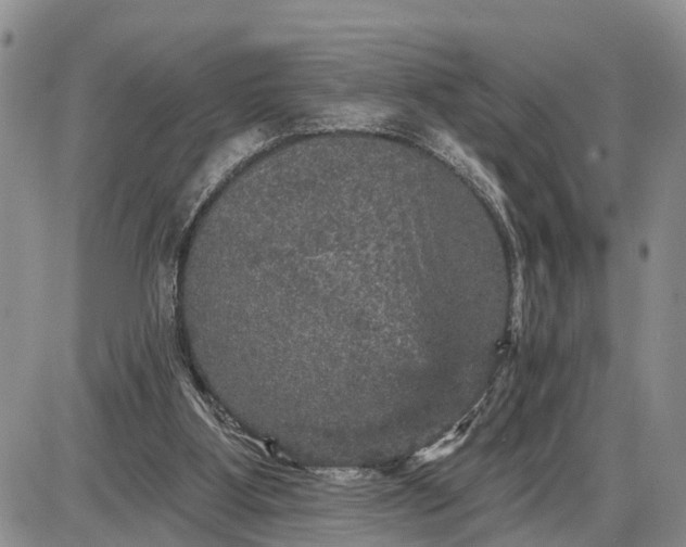 X0000085260107200703231725