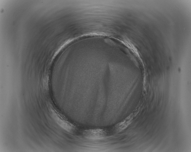 X0000085260108200703231725