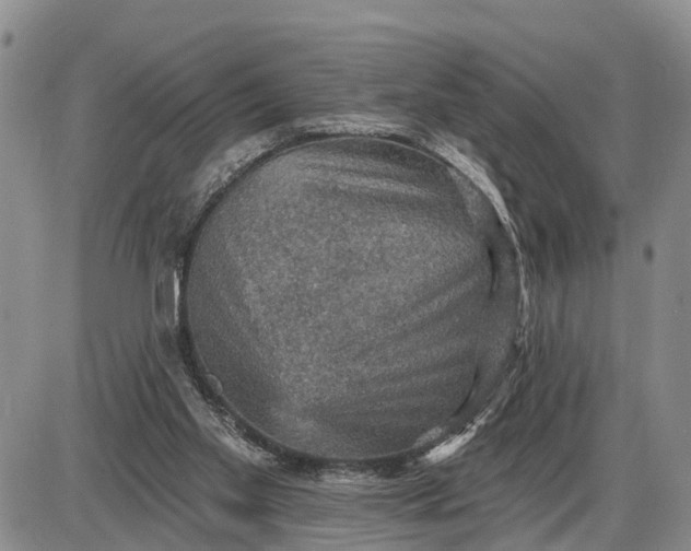 X0000085260109200703231725