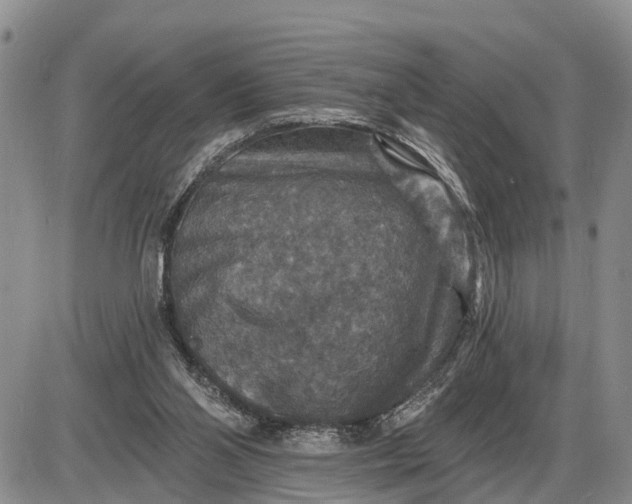 X0000085260110200703231725