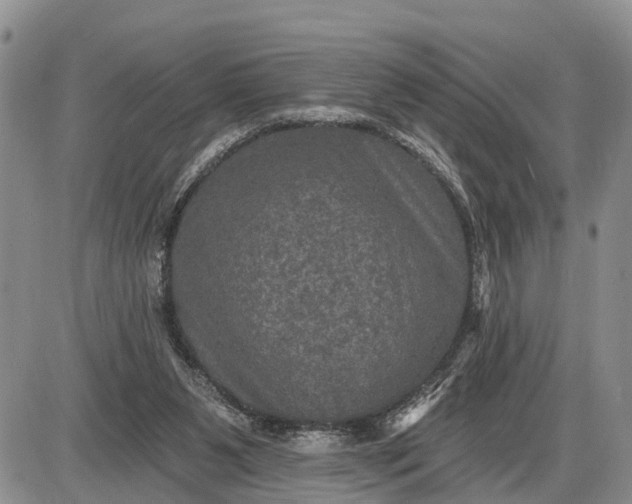 X0000085260111200703231725