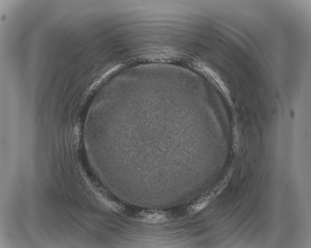 X0000085260113200703231725