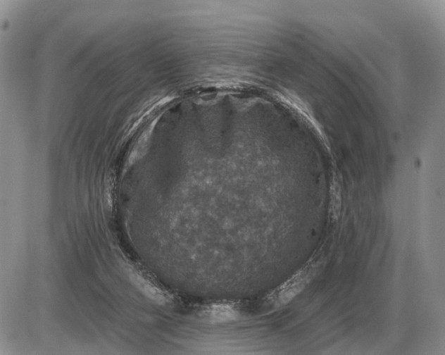 X0000085260114200703231725