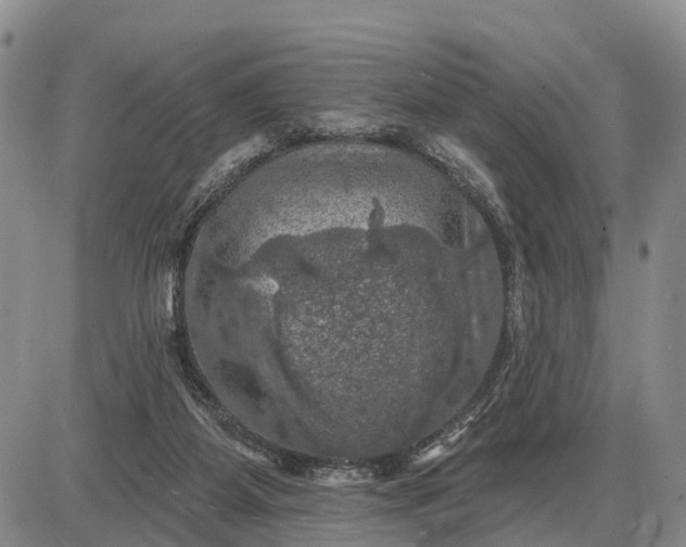 X0000085260115200703231725