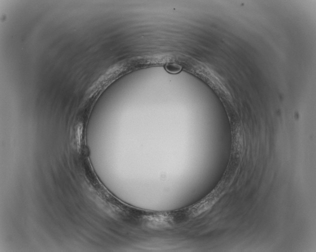 X0000085260118200703231725