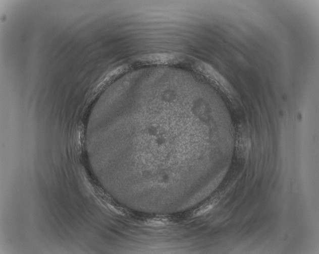 X0000085260119200703231725