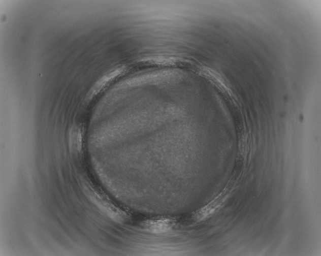 X0000085260120200703231725