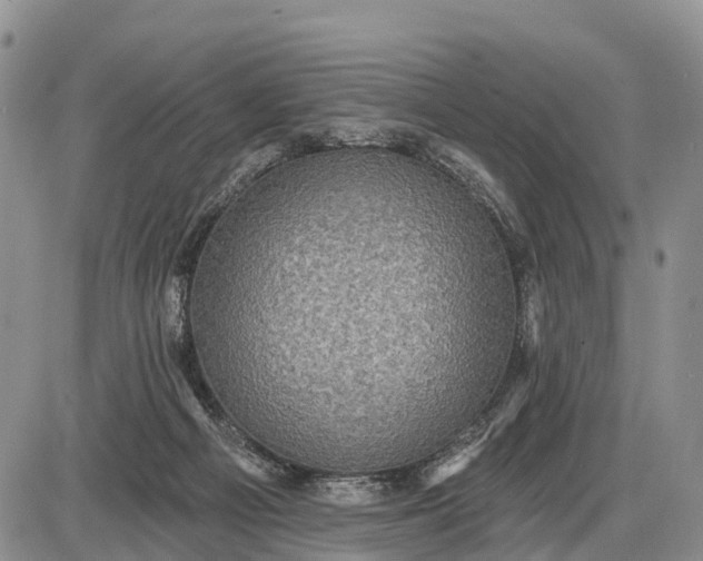 X0000085260121200703231725