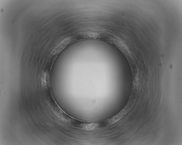 X0000085260122200703231725