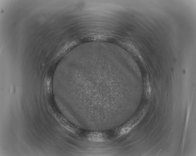 X0000085260123200703231725