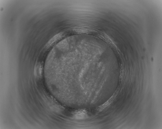 X0000085260124200703231725